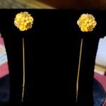 স্বর্ণের সুইসুতা / Gold Suisuta